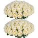 Velvet Artificial Roses – Real Touch 50PCS Bouquet for DIY & Decor Samanta Factory