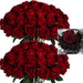 Artificial Velvet Roses – 50PCS Long-Stem Flower Bouquet Samanta Factory