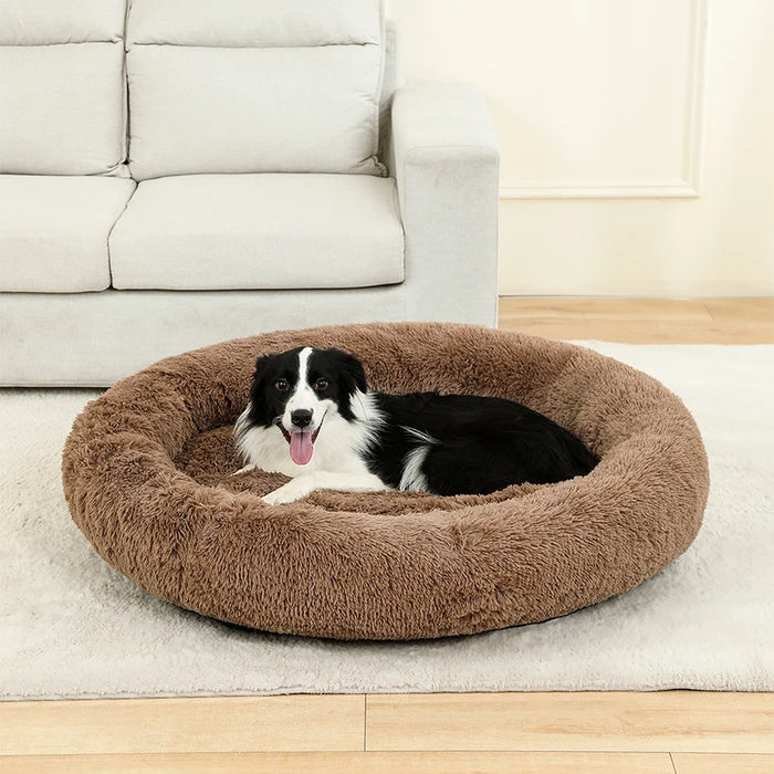 Dog Cotton Bed – Soft, Washable Sofa-Style Pet Bed for All-Season Comfort