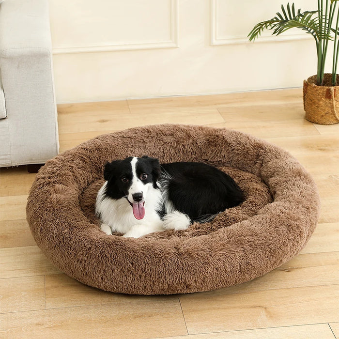 Dog Cotton Bed – Soft, Washable Sofa-Style Pet Bed for All-Season Comfort