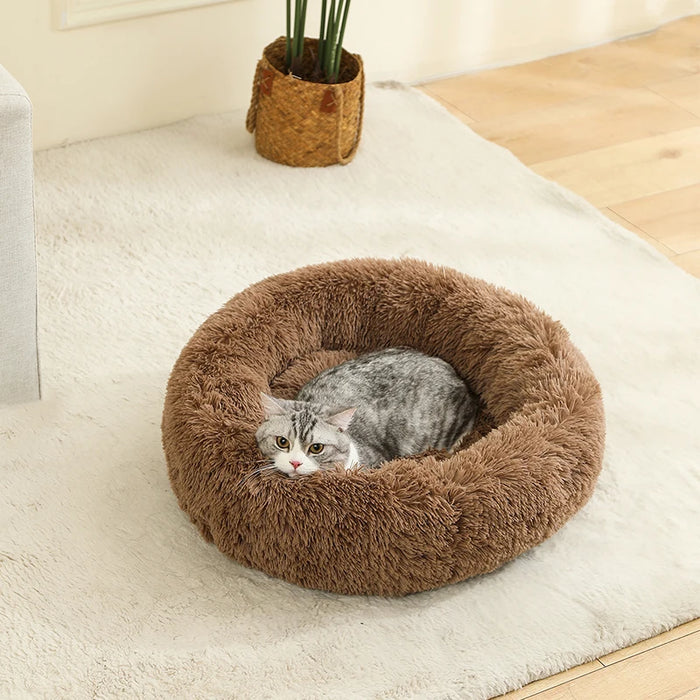 Dog Cotton Bed – Soft, Washable Sofa-Style Pet Bed for All-Season Comfort