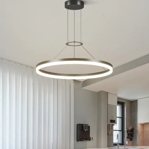 Modern aluminum pendant lamp with dimmable LED light and adjustable color temperature for bedroom or study.

