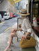 Fashionable Straw Woven Raffia Clutch Bag for Women – Summer Beach, Travel & Evening Purse SF