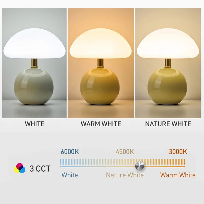 Modern LED Table Lamp – Dimmable Frosted Glass Shade - Samanta Factory
