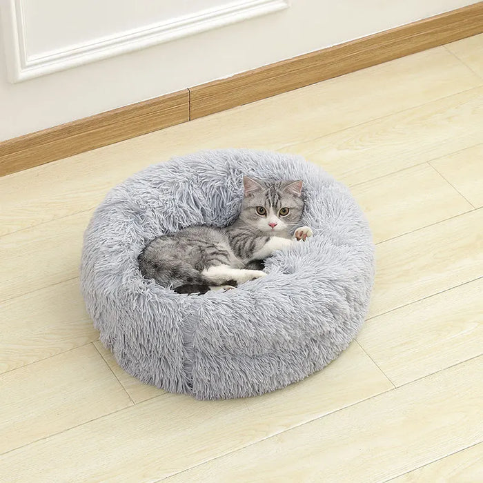 Dog Cotton Bed – Soft, Washable Sofa-Style Pet Bed for All-Season Comfort