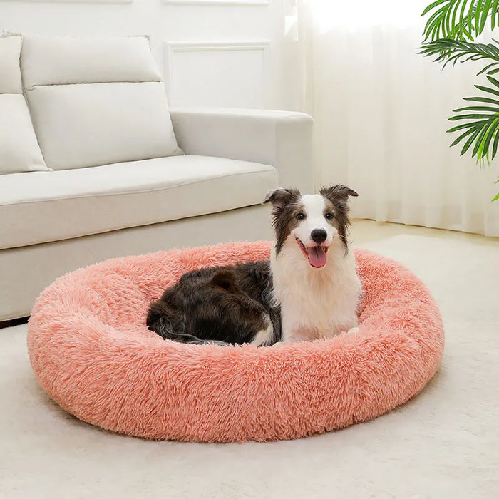 Dog Cotton Bed – Soft, Washable Sofa-Style Pet Bed for All-Season Comfort