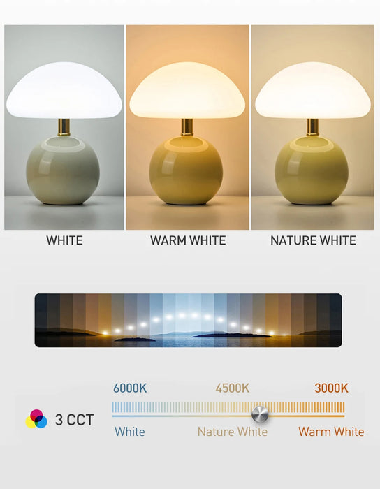 Modern LED Table Lamp – Dimmable Frosted Glass Shade - Samanta Factory