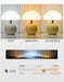 Modern LED Table Lamp – Dimmable Frosted Glass Shade - Samanta Factory