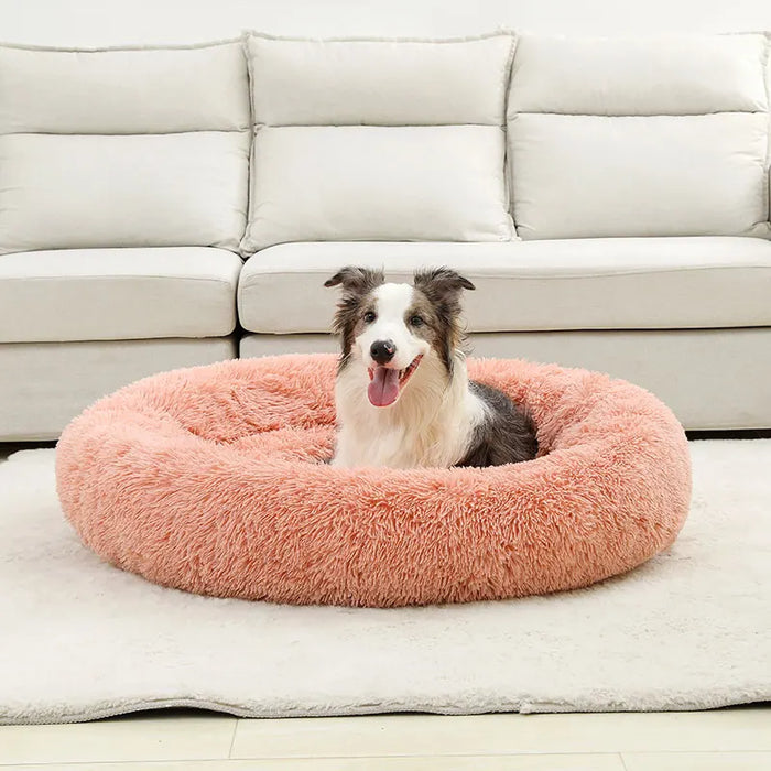 Dog Cotton Bed – Soft, Washable Sofa-Style Pet Bed for All-Season Comfort