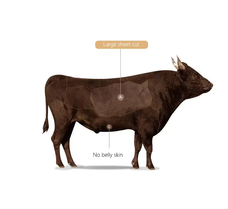 Women’s  Leather Shoulder Bag – Compact Casual Satchel