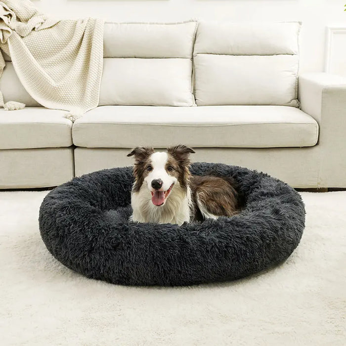 Dog Cotton Bed – Soft, Washable Sofa-Style Pet Bed for All-Season Comfort