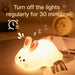 Cute Rabbit Night Light Silicone Lamp – Touch Sensor Soft LED Kids Sleep Light SF