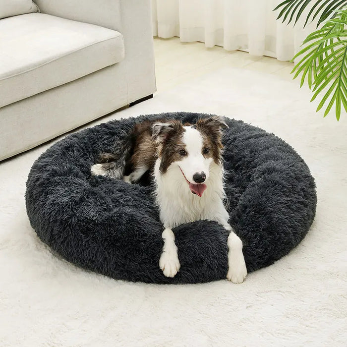 Dog Cotton Bed – Soft, Washable Sofa-Style Pet Bed for All-Season Comfort