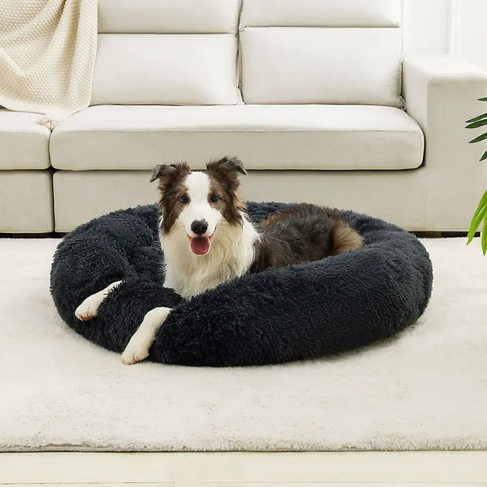Dog Cotton Bed – Soft, Washable Sofa-Style Pet Bed for All-Season Comfort