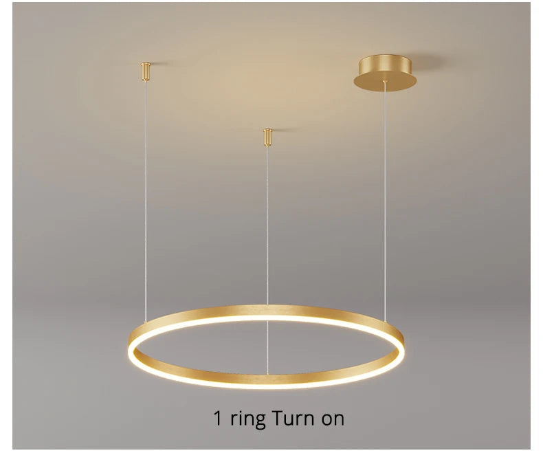 Modern LED Pendant Light – Gold Aluminum Chandelier with Remote Control - Samanta Factory
