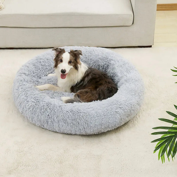 Dog Cotton Bed – Soft, Washable Sofa-Style Pet Bed for All-Season Comfort