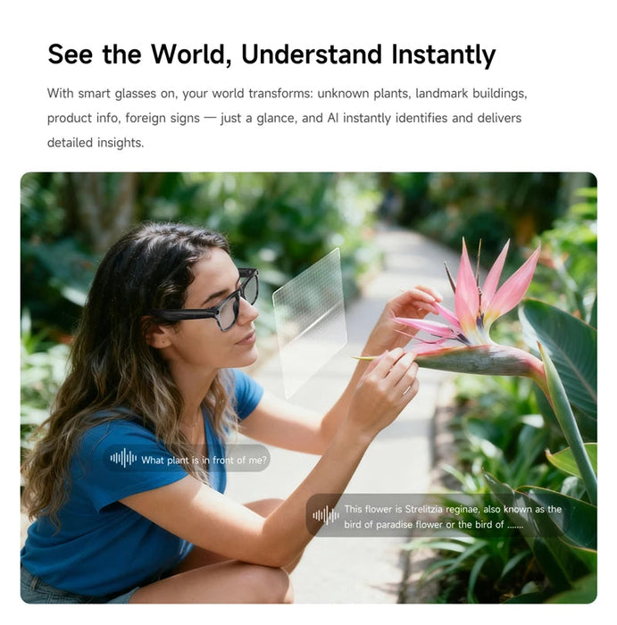 AI Smart Glasses with 6K Camera & Translation – Bluetooth Calling Music Photochromic Eyewear SF