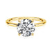 14K Gold Moissanite Ring – Certified Round-Cut Brilliance SF