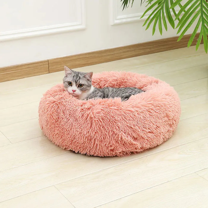 Dog Cotton Bed – Soft, Washable Sofa-Style Pet Bed for All-Season Comfort