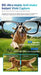 AI Smart Glasses with HD Camera & Translation – Color-Changing Bluetooth Calling Sunglasses SF