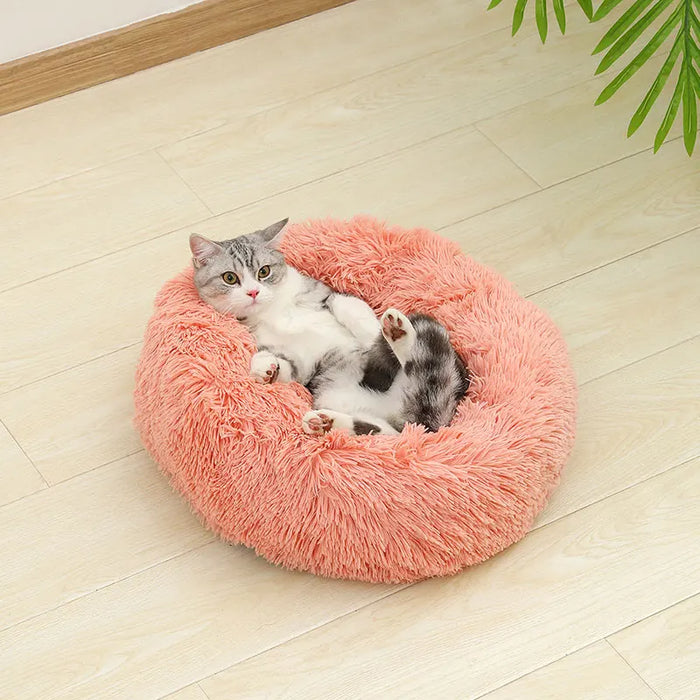 Dog Cotton Bed – Soft, Washable Sofa-Style Pet Bed for All-Season Comfort