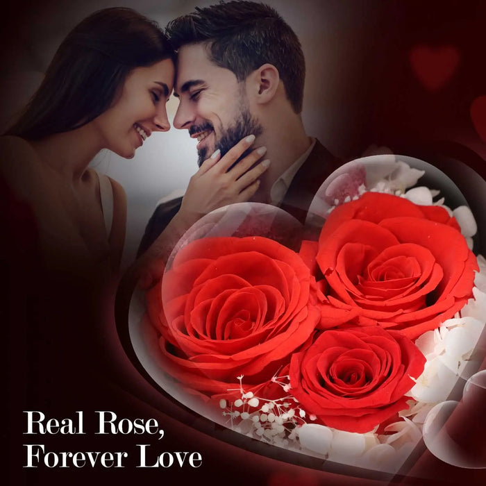 Eternal Preserved Rose Gifts – Moss Bear & Jewelry Box with “I Love You 100 Languages” Necklace - Samanta Factory