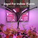 LED Grow Light – Full Spectrum 3-Color USB Lamp for Healthy Plant Growth - Samanta Factory