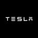 2/4PSC  Welcome Light for  Model Y 3 S X Car Door LED Projector Puddle Lights Ultra-Bright Welcome Light