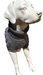 V0671015599_12.png