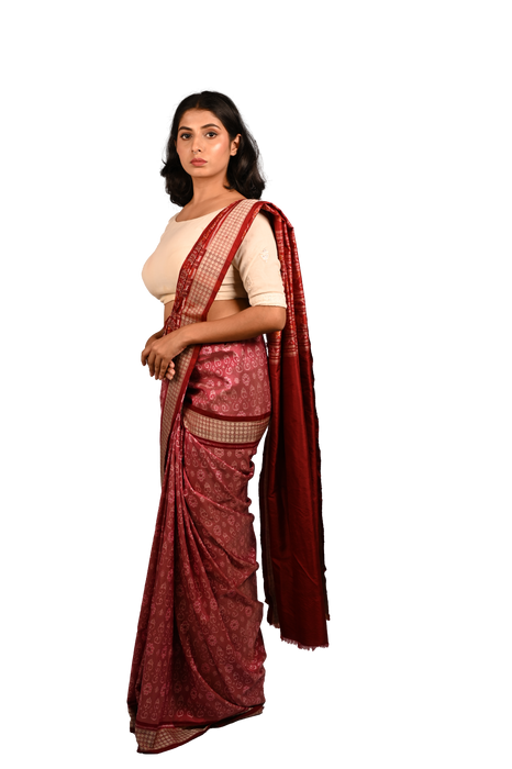 Handwoven Sambalpuri Ikat Saree with Shankha, Chakra, and Phula motifs in cotton and silk blend from Odisha