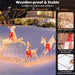 3 Piece Lighted Christmas Reindeer with 255 Warm White Lights