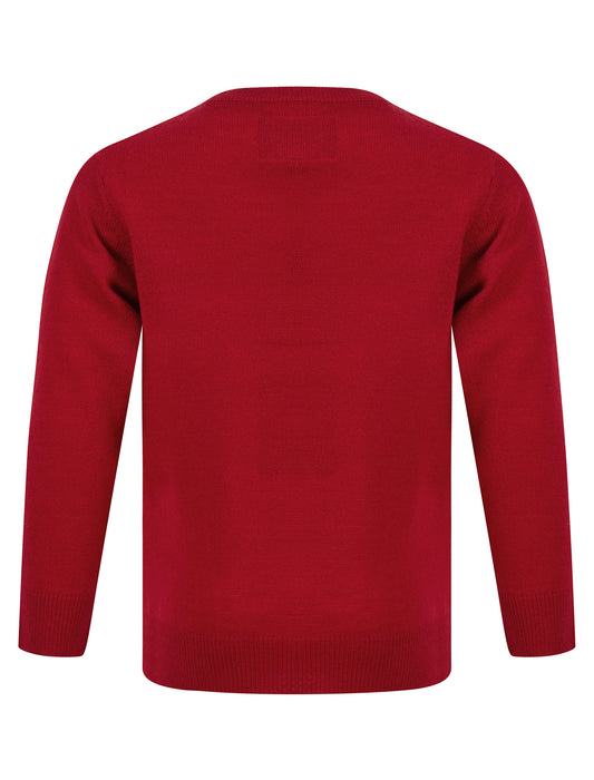 Kids Boys Christmas Jumper Reindeer 3D Pom-Pom Xmas Sweater Pullover Novelty