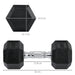 Hexagonal Dumbbells Kit Weight Lifting Exercise for Home Fitness 2x10kg HOMCOM - Samanta Factory
