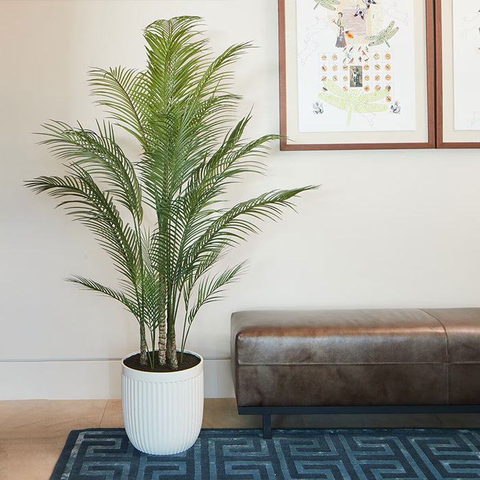 Artificial 6.5Ft Palm Tree in Ribbed Planter