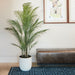 Artificial 6.5Ft Palm Tree in Ribbed Planter