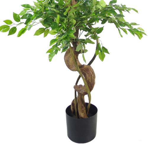 Artificial Ficus Tree – Twisted Trunk Japanese Fruticosa Style - Samanta Factory