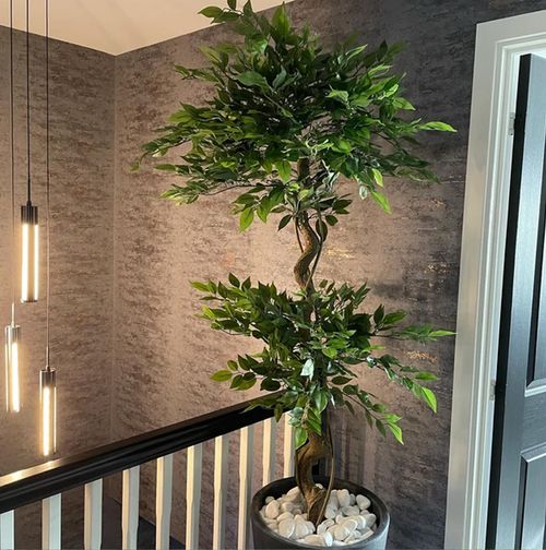 Artificial Ficus Tree – Twisted Trunk Japanese Fruticosa Style - Samanta Factory