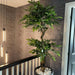 Artificial Ficus Tree – Twisted Trunk Japanese Fruticosa Style - Samanta Factory