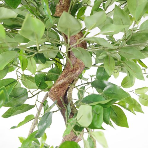 Artificial Ficus Tree – Twisted Trunk Japanese Fruticosa Style - Samanta Factory