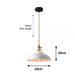 Pendant Light – Colorful Retro Design for Home and Dining Spaces - Samanta Factory