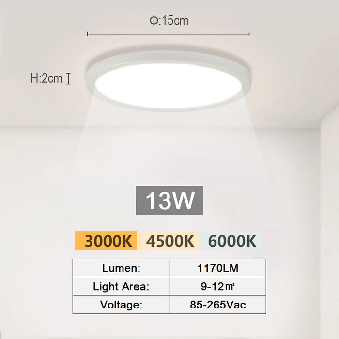 LED Ceiling Light – Creative Dual-Ring Design for Modern Interiors - Samanta Factory
