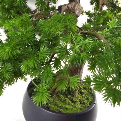 Bonsai Tree – Luxury Pine Design with Customizable Branches - Samanta Factory