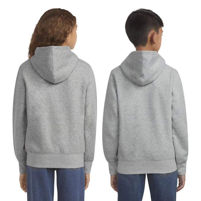 Youth Zip up Hoodie in Grey, 5-6 Years