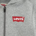 Youth Zip up Hoodie in Grey, 5-6 Years