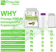 Ashwagandha Supplement - High Potency Formula - Samanta Factory