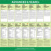 Liver Support Capsules – Advanced 18-Nutrient Detox & Repair Formula - Samanta Factory