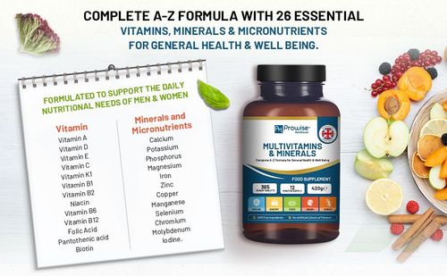 Multivitamin & Mineral Supplement – 26 Essential Nutrients - Samanta Factory