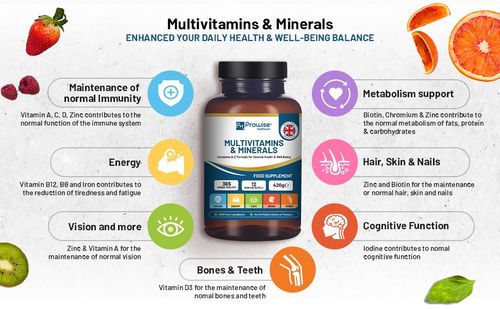 Multivitamin & Mineral Supplement – 26 Essential Nutrients - Samanta Factory