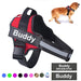 Escape-proof personalised dog harness with embroidered name patch and reflective trim