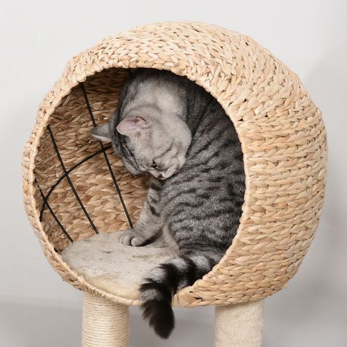100cm Cat Tree Tower Kitten Climbing Tower W/ Scratching Post Condo  Pawhut - Samanta Factory